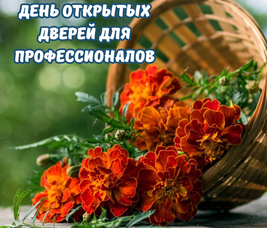 ДЕНЬ ОТКРЫТЫХ ДВЕРЕЙ ДЛЯ ПРОФЕССИОНАЛОВ В ПИТОМНИКЕ "ЗЕЛЁНЫЙ ГОРИЗОНТ"