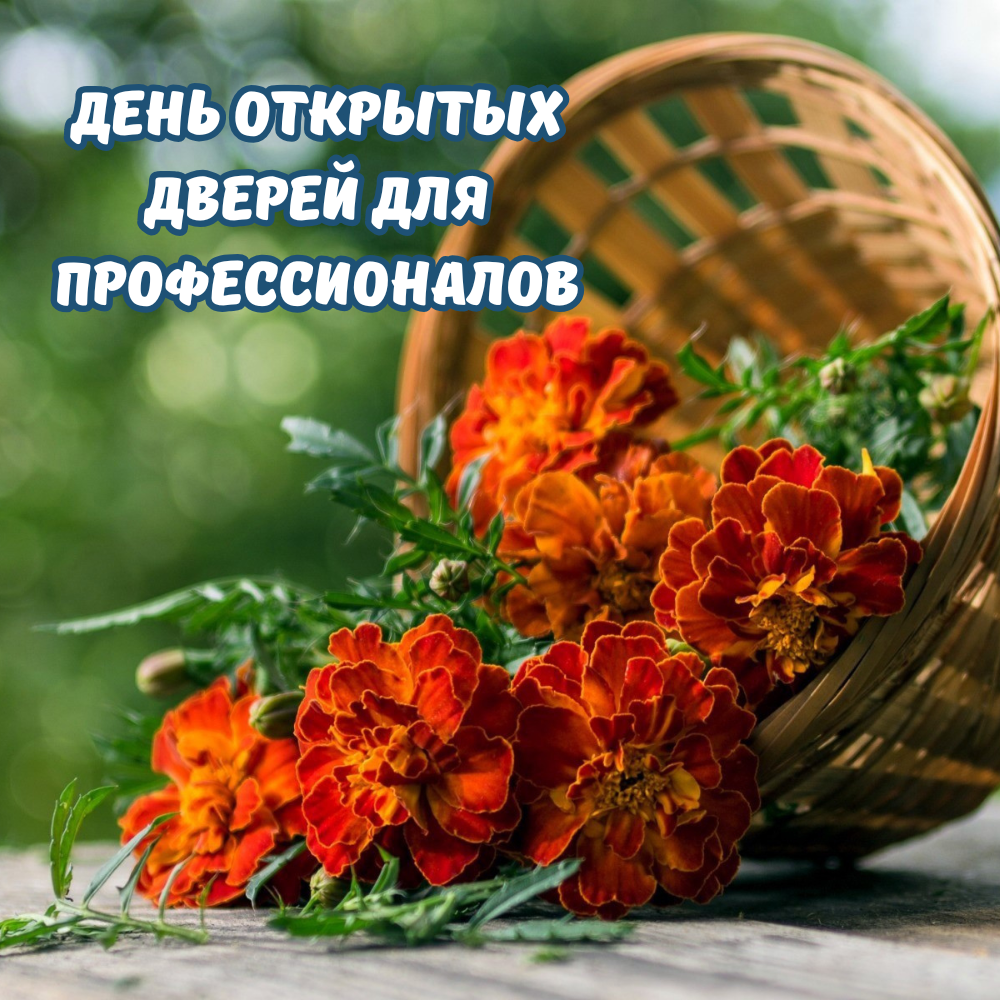 ДЕНЬ ОТКРЫТЫХ ДВЕРЕЙ ДЛЯ ПРОФЕССИОНАЛОВ В ПИТОМНИКЕ "ЗЕЛЁНЫЙ ГОРИЗОНТ"