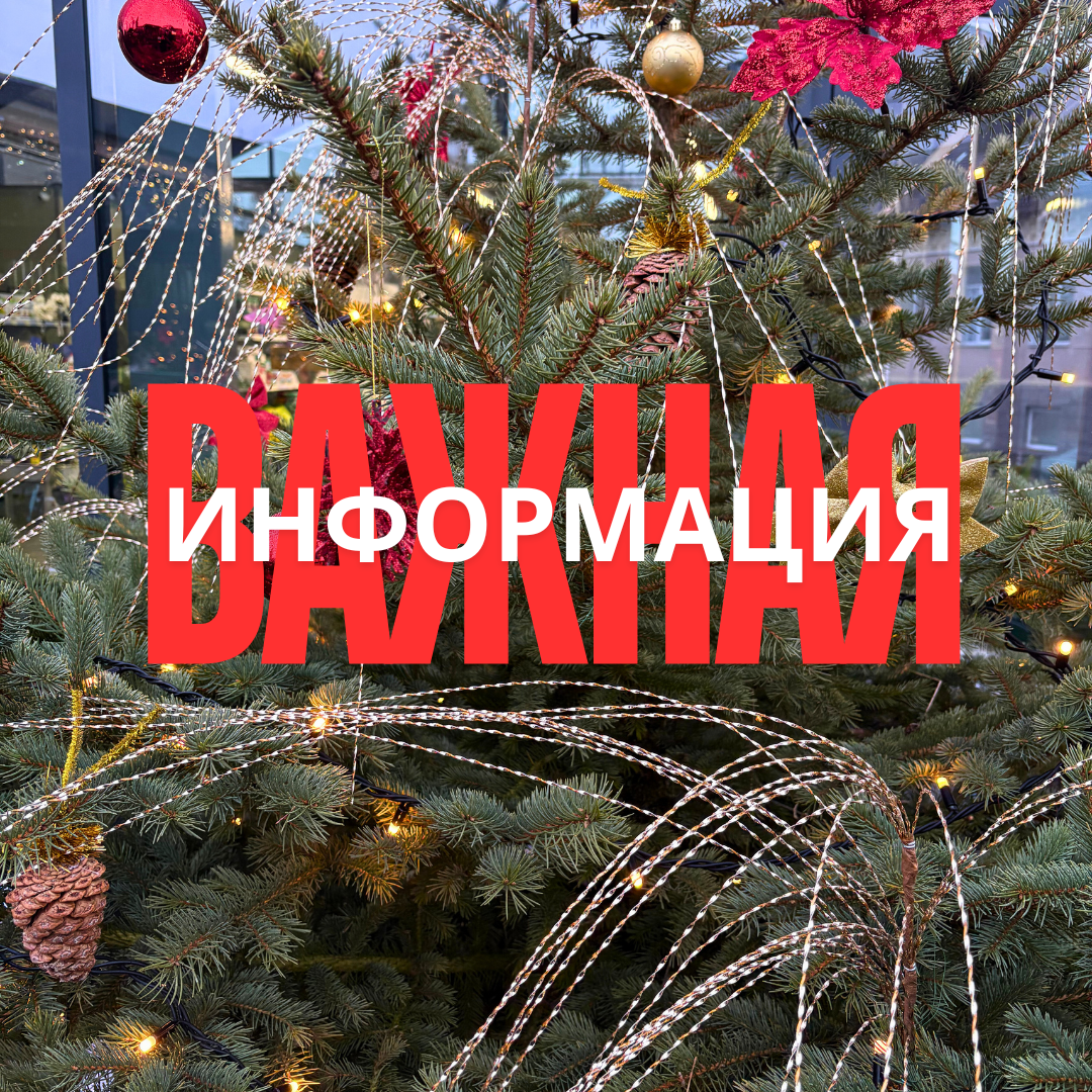 ВНИМАНИЕ! ПИТОМНИК РАСТЕНИЙ "ЗЕЛЁНЫЙ ГОРИЗОНТ" НЕ РЕАЛИЗУЕТ СВОЮ ПРОДУКЦИИ ОНЛАЙН!