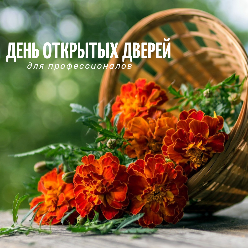ДЕНЬ ОТКРЫТЫХ ДВЕРЕЙ ДЛЯ ПРОФЕССИОНАЛОВ В ПИТОМНИКЕ "ЗЕЛЁНЫЙ ГОРИЗОНТ"